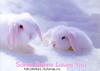 uitati ce mia iesit mie 
bill: thinks you're really talented and would love to sing a duet with you,