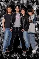 cat suta potricesti membrii t.h.?? tom100% bill98% georg50% gustav10%