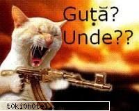 Anti-Manele !!!!!!!! - ce zicetzi facem?;;) - Cool Stuff !!!